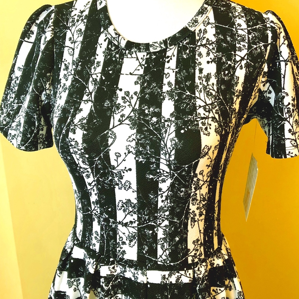 LuLaRoe Amelia